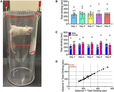 Climbing behavior by mice as an endpoint for preclinical assessment of drug effects in the absence and presence of pain